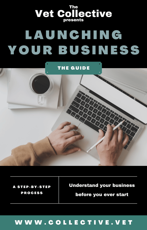 Business Launch Guide