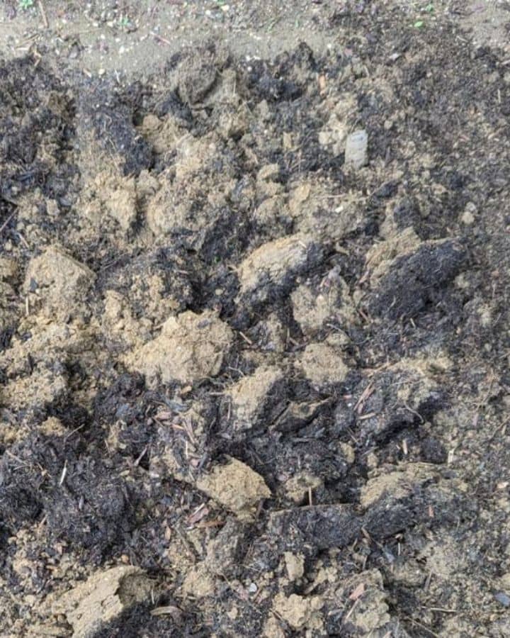 Close-up of freshly turned garden soil with a mix of dark compost and light sandy soil, prepared for planting.