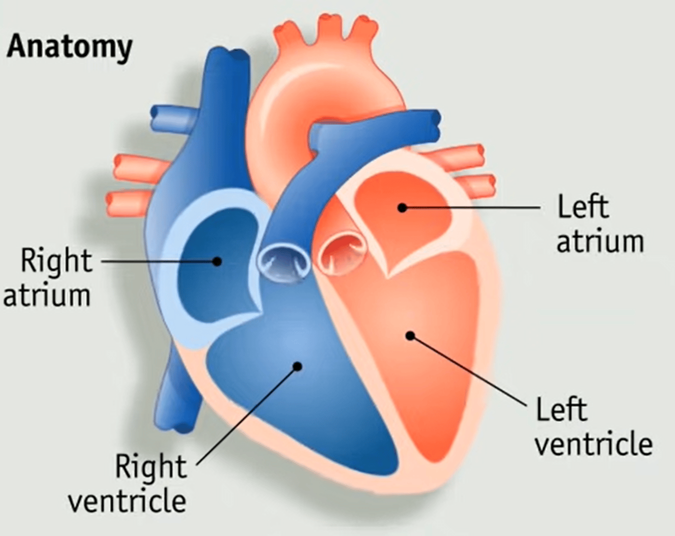 How do Pacemakers work?