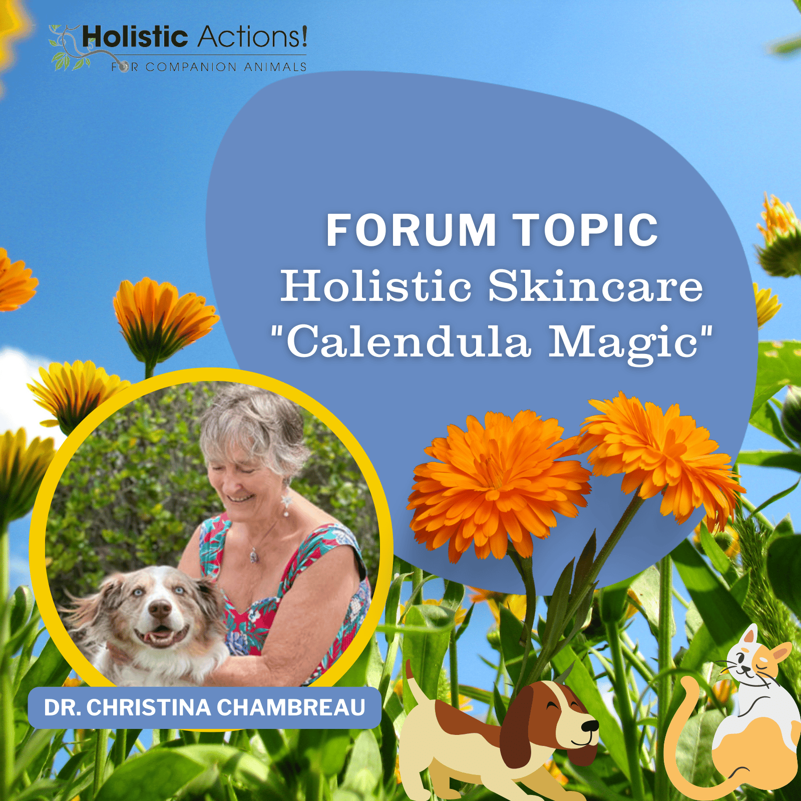 Holistic Actions october newsletter