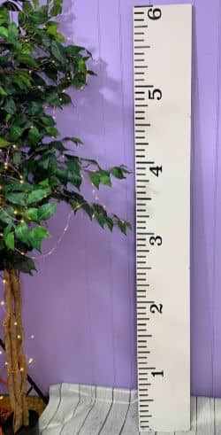 Diy Growth Chart Ruler With Cricut Joy Daily Dose Of Diy