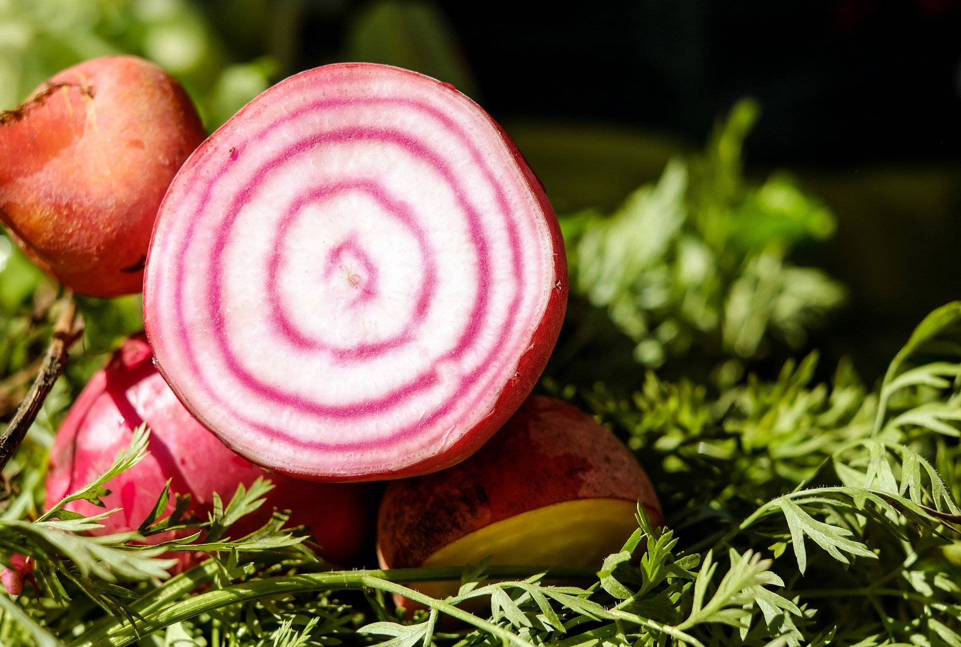 31-vegetables-to-eat-each-day-of-the-month-calendar