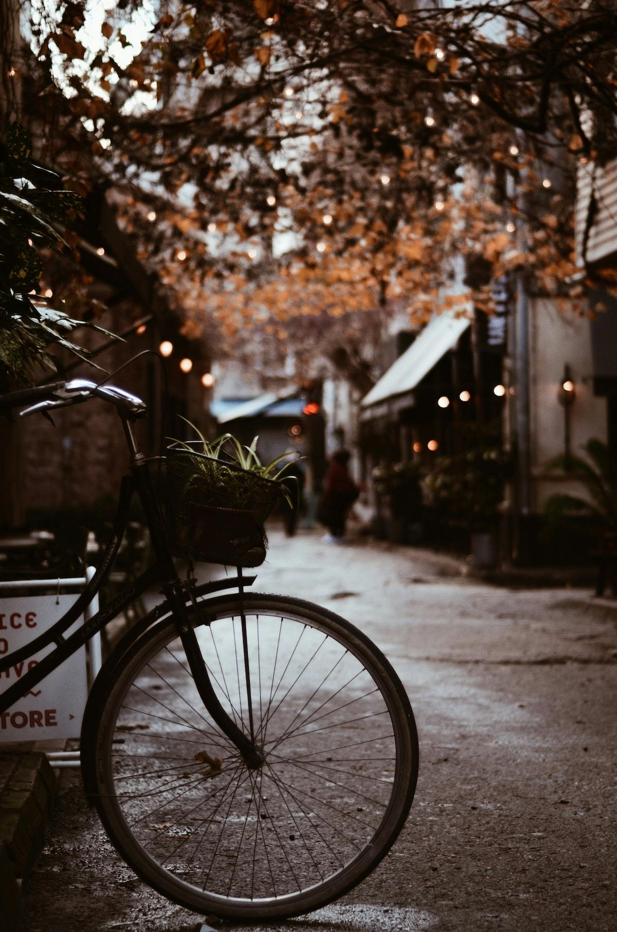 Biking in the Fall