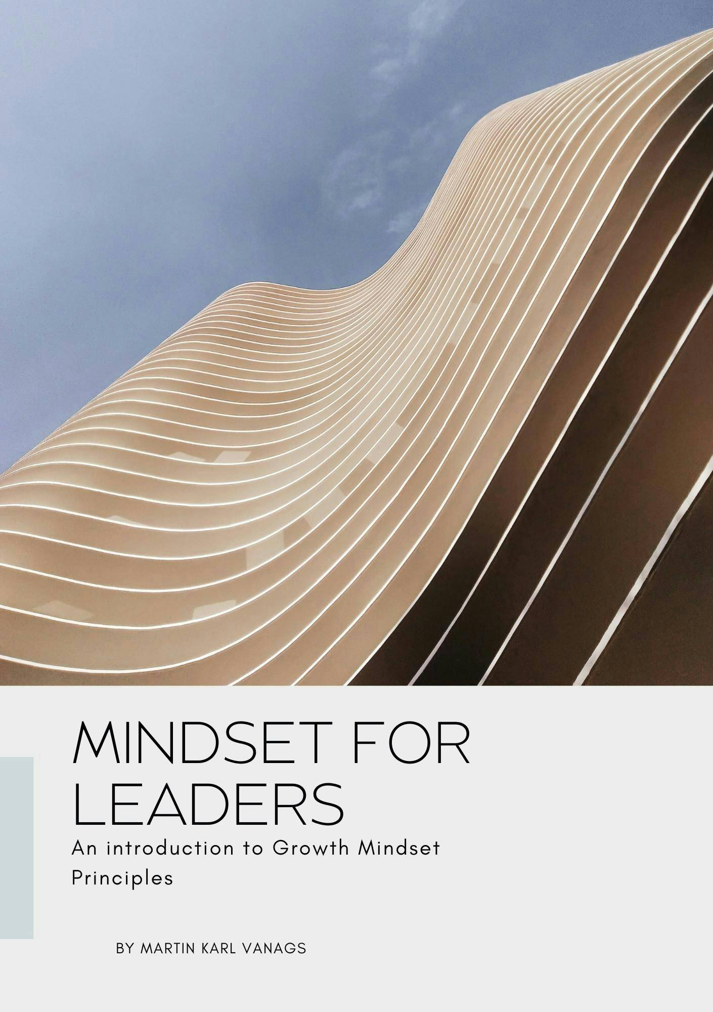 Mindset for Leaders