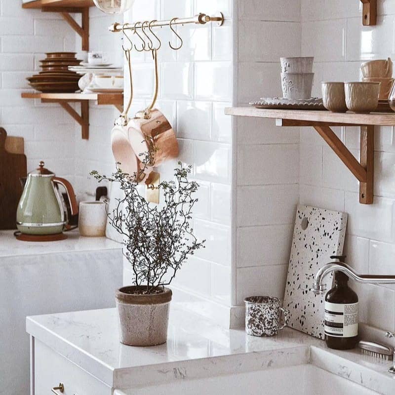 green-leafed plant with gray pot on sink