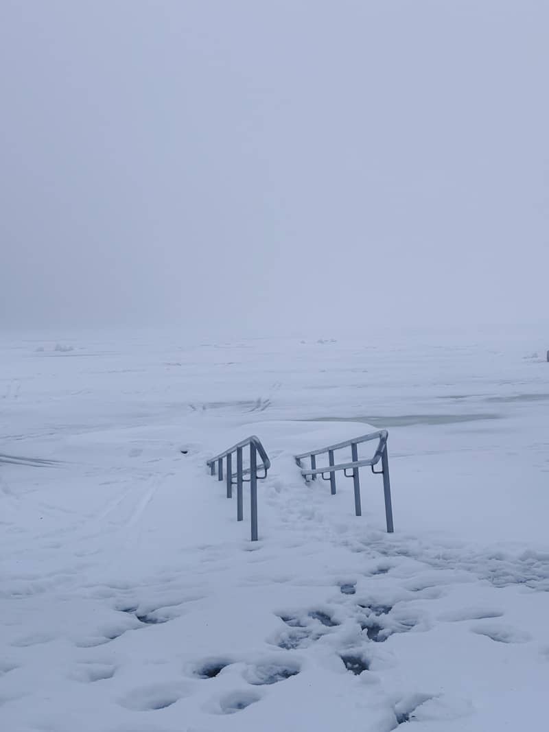 A snowy landscape with tracks in the snow