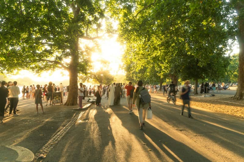 A group of people walking along a tree-lined path during the golden hour