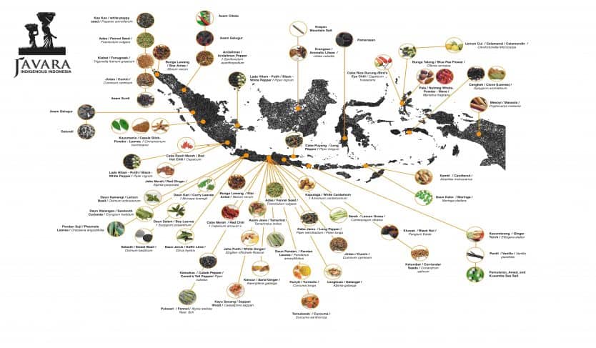 Infographic map of Indonesia showing the archipelago in black with small photos of spices connected by lines to their regions. Labels include nutmeg in the Banda Islands near Pulau Ai, plus clove, cinnamon, turmeric and others. Javara logo at upper left.