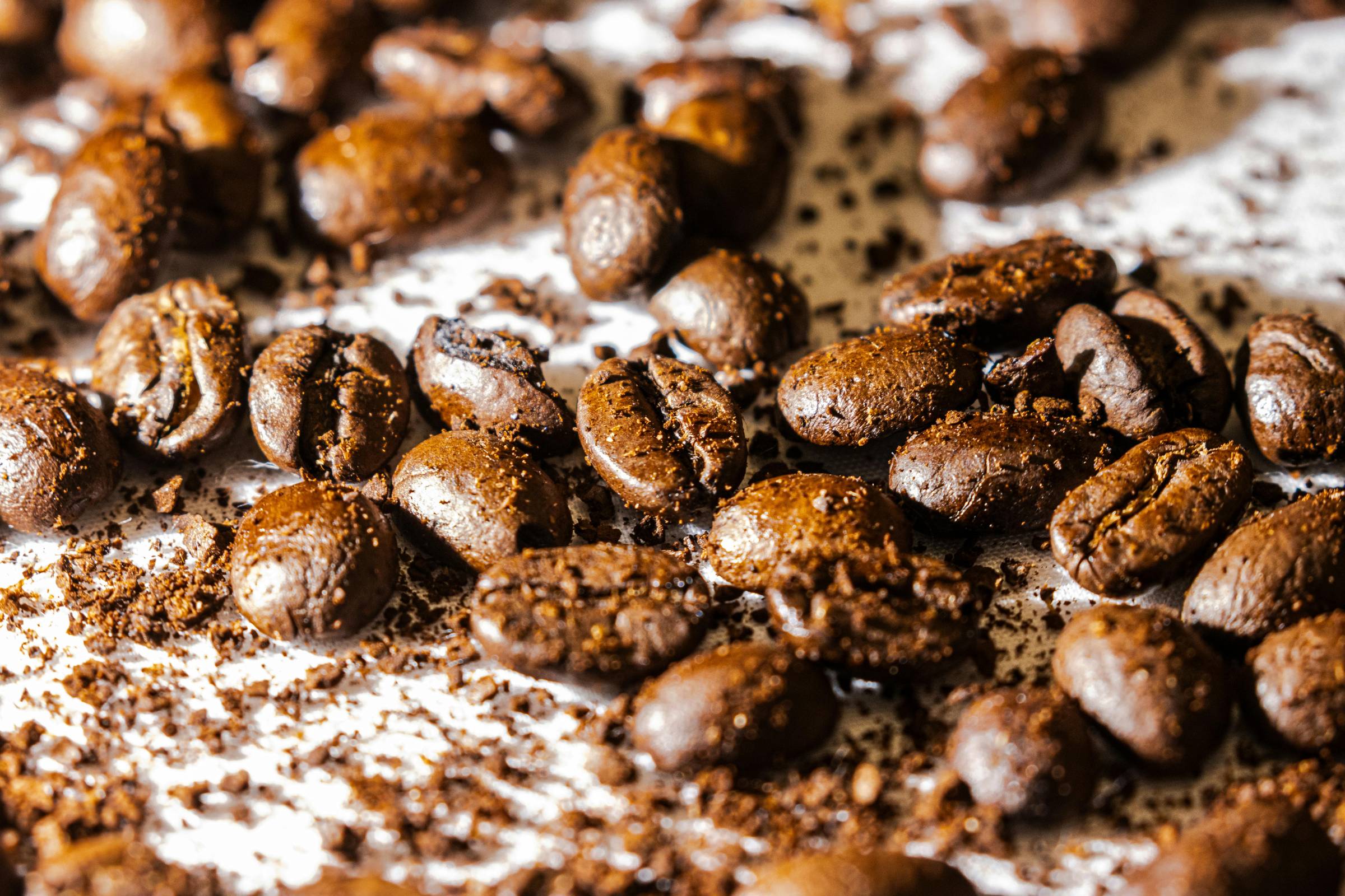 Close-up of roasted coffee beans scattered on a white surface, with cocoa powder dusted around them.