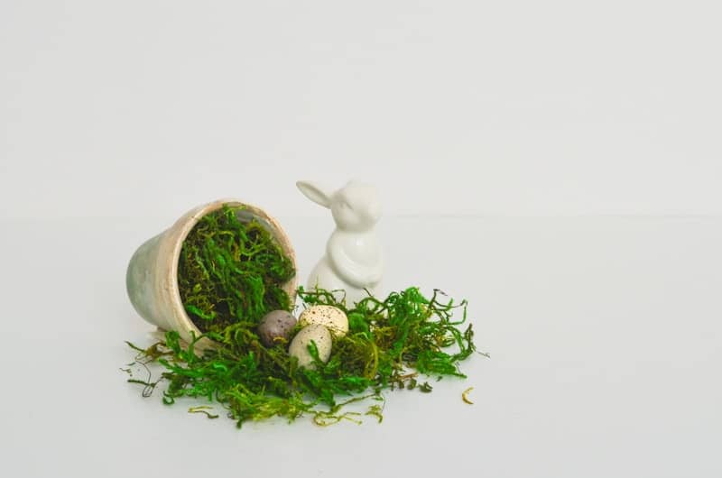 A white rabbit figurine sitting on top of a moss covered ground
