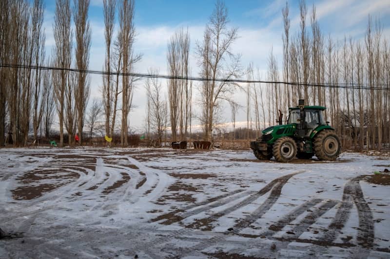 Green tractor parked in a snowy field with trees