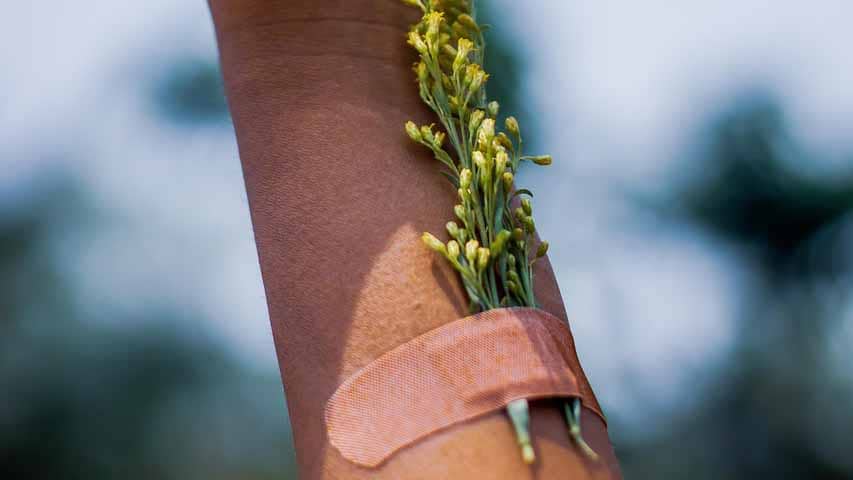 using herbs as natures aide