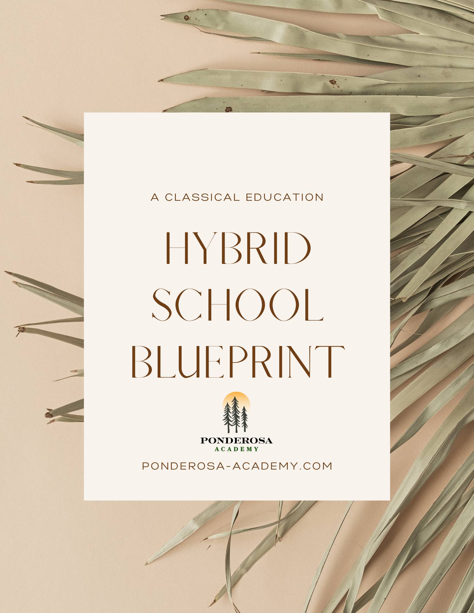 Hybrid School Blueprint