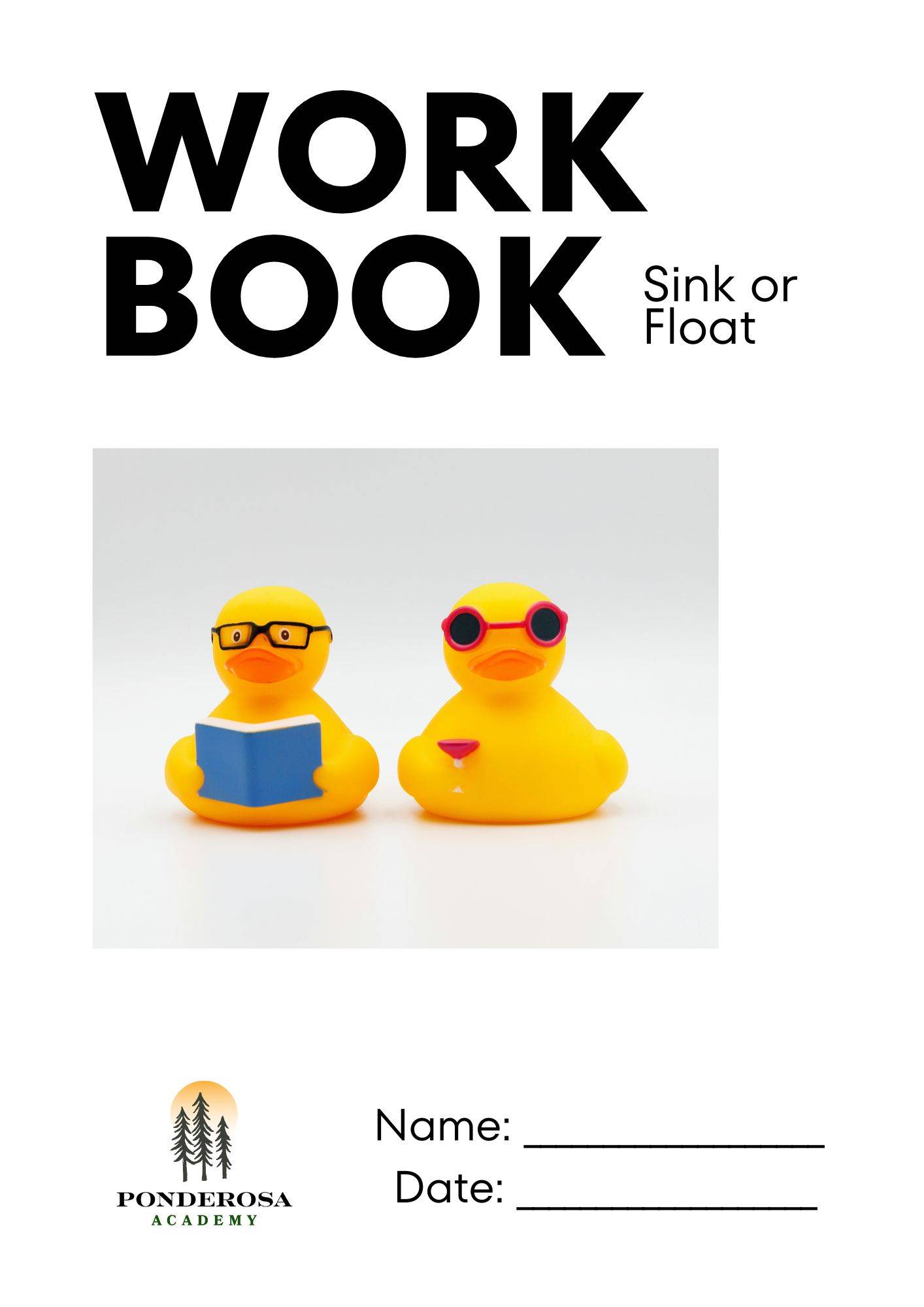 Sink or Float Science (ages 5-8)