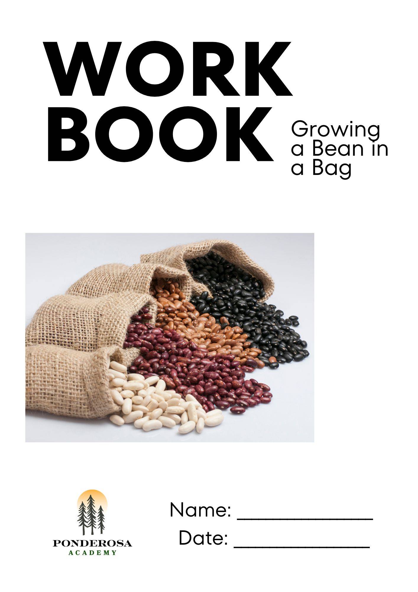 Growing a bean in a bag (ages 5-8)
