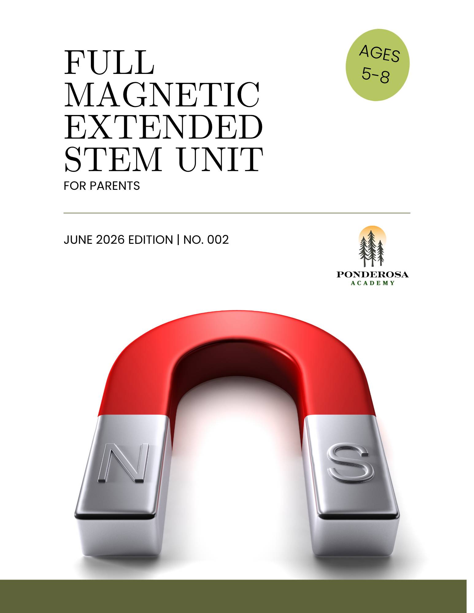 Parent Guide - Full Magnetic STEM Unit (ages 5-8)