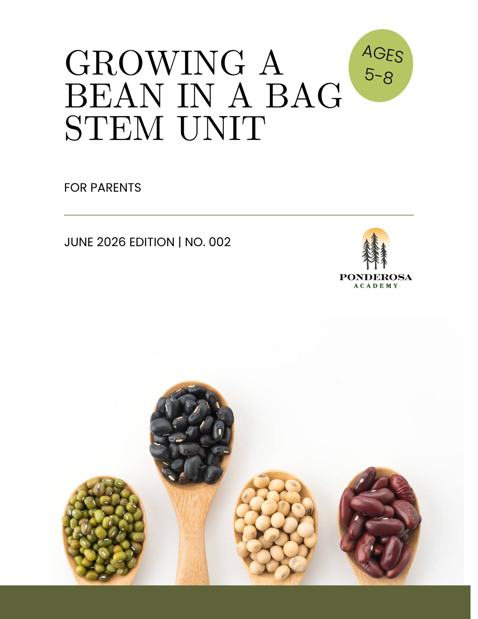 Parent Guide Growing a Bean in a Bag STEM Unit