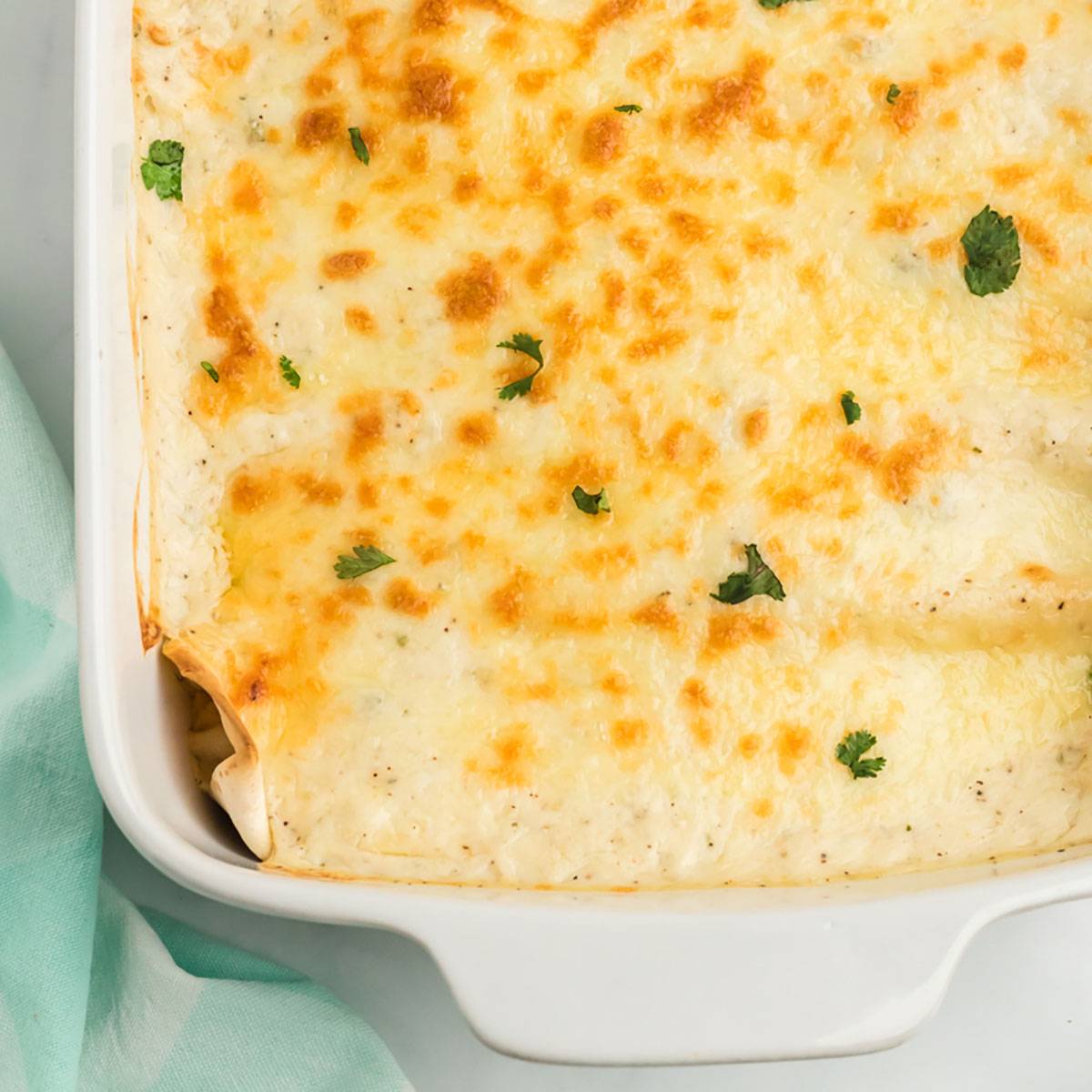 baked chicken enchiladas in a casserole dish.