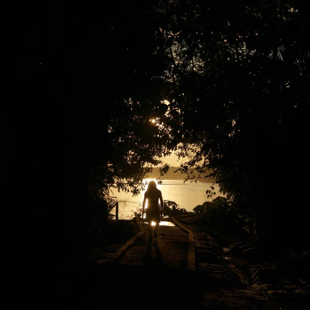 Still photo from a film produced by the Honnold Foundation. The photo is mostly black, a silhouette of thick trees, with a small opening showing a body of water lit golden by sunlight. A human figure walks on a walkway toward the water, silhouetted by the sun.