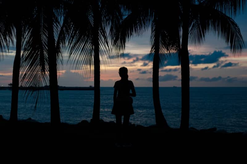 A silhouette stands by the ocean at dusk.