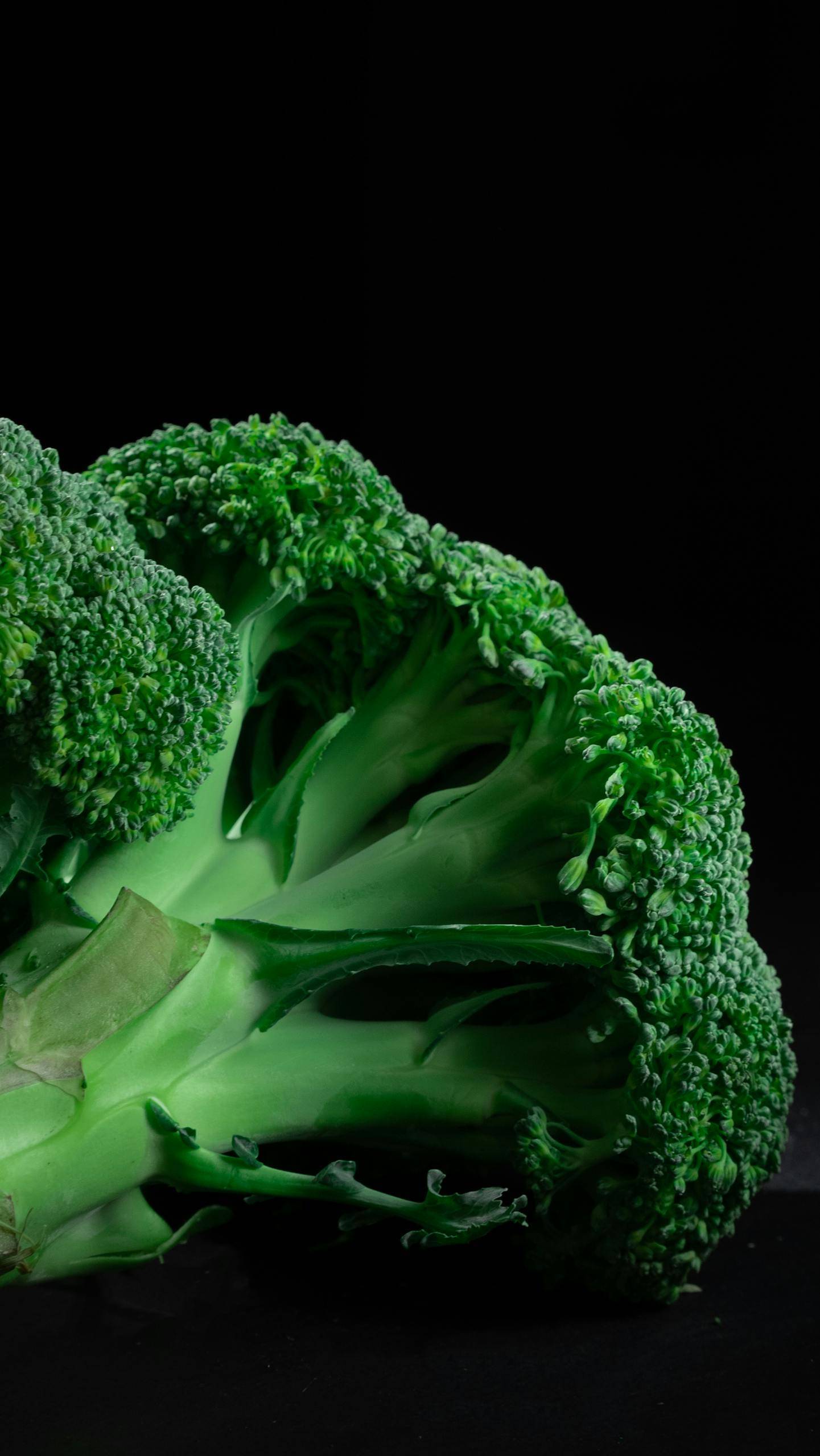 Photo de près brocoli frais