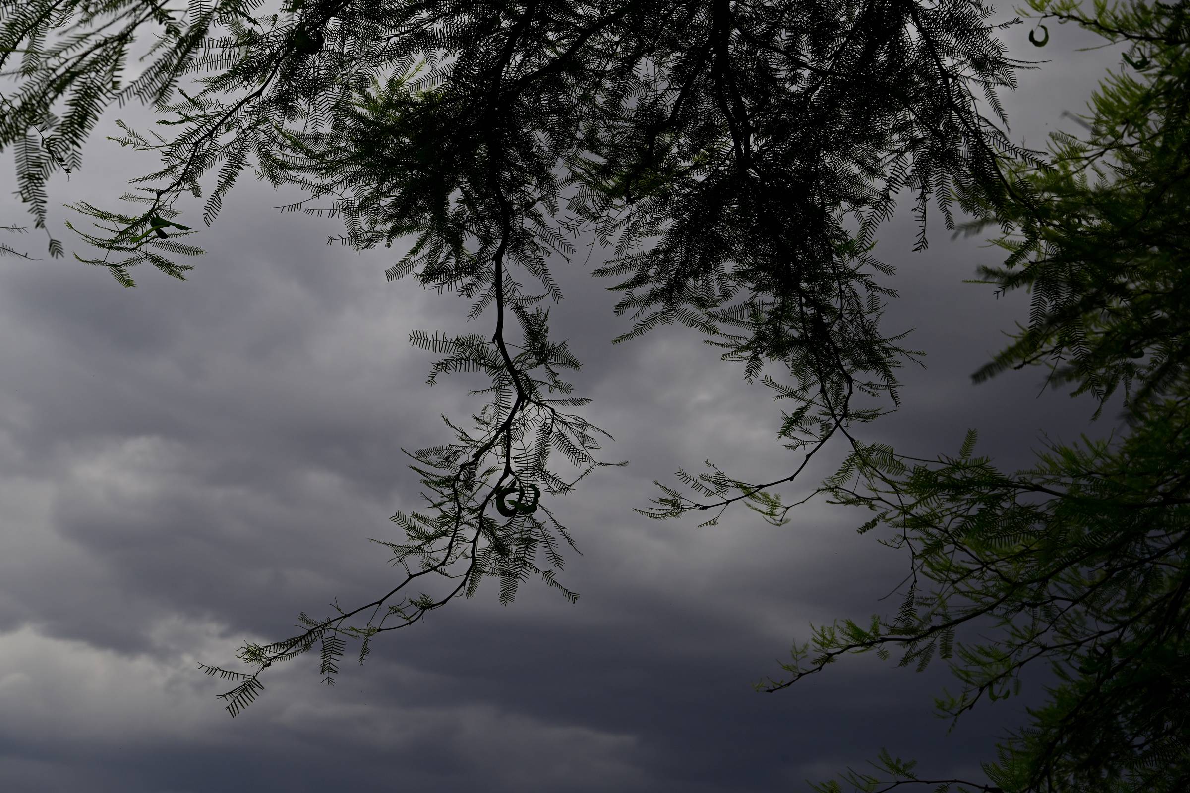 Approaching storm in Tucson, Arizona