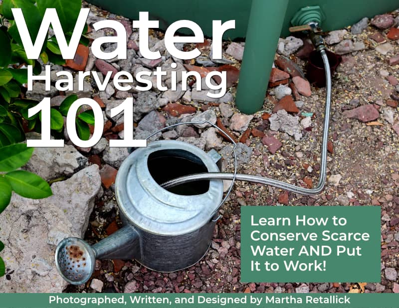 Water Harvesting 101 eBook