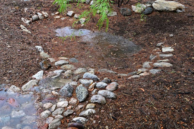 Rainwater entering harvesting basin.