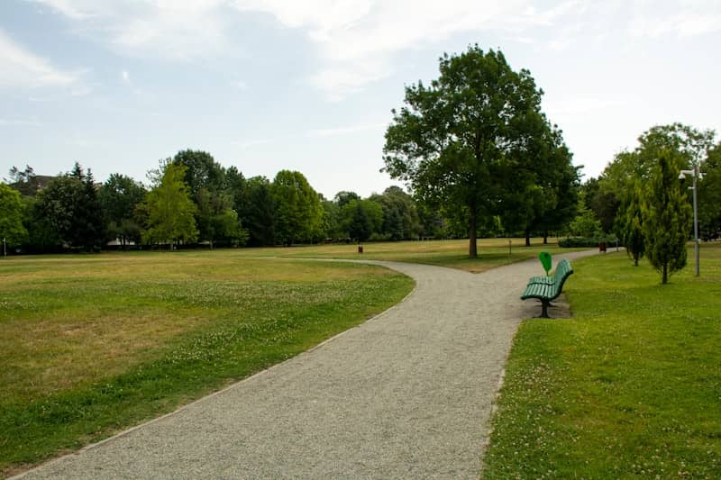 A park with a path leading through the grass.