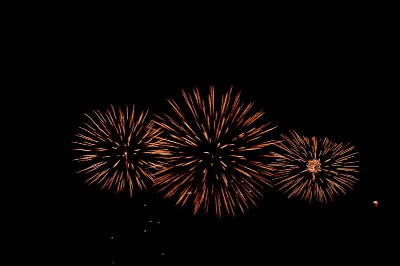 Fireworks illuminate the night sky with bursts of color.