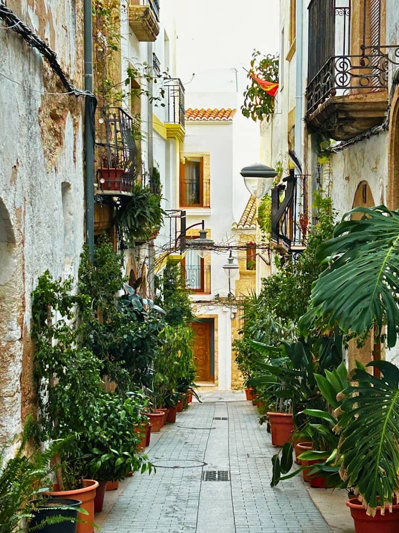 Narrow european street lined with potted plants and buildings.