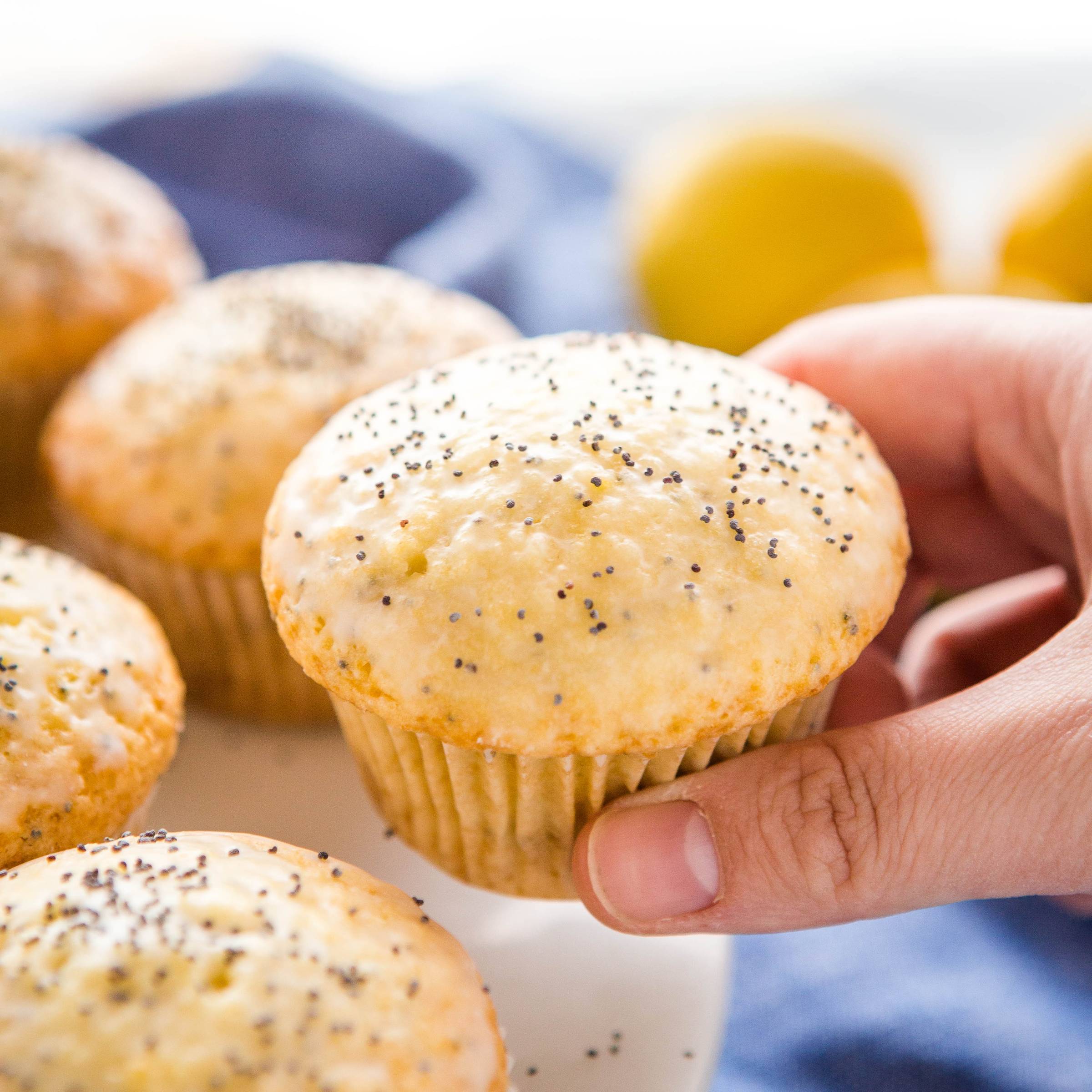 a hand picking up a lemon poppyseed muffin