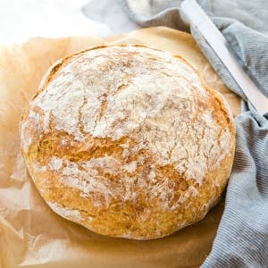 round loaf of quick no knead crusty bread
