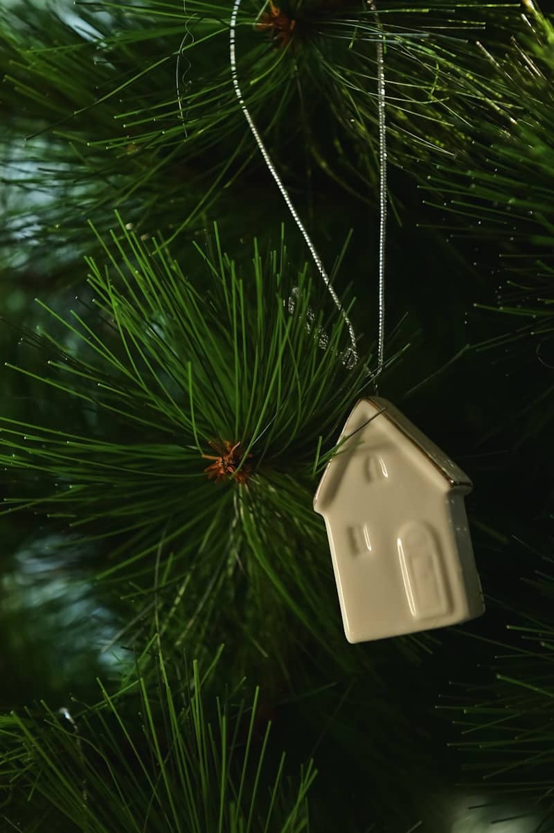 A birdhouse ornament hanging from a christmas tree