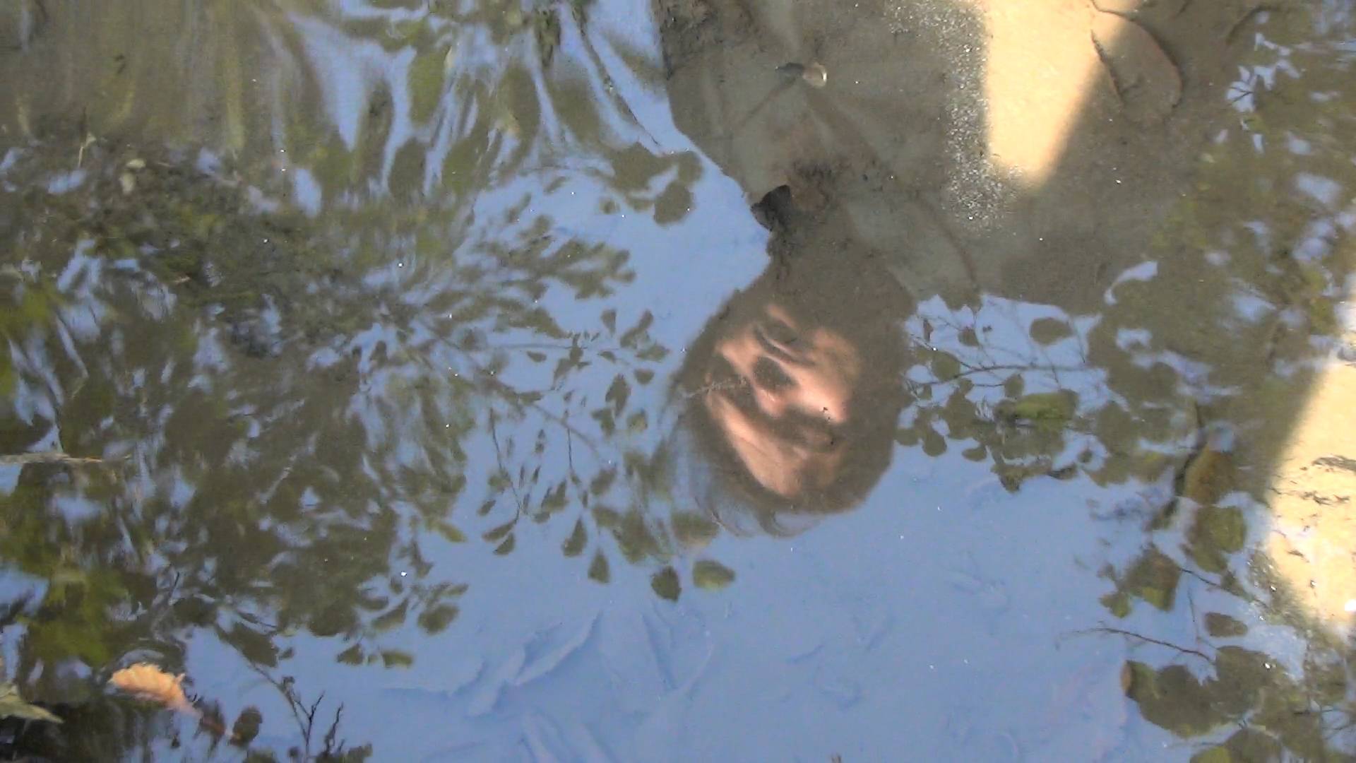 thumbnail placeholder