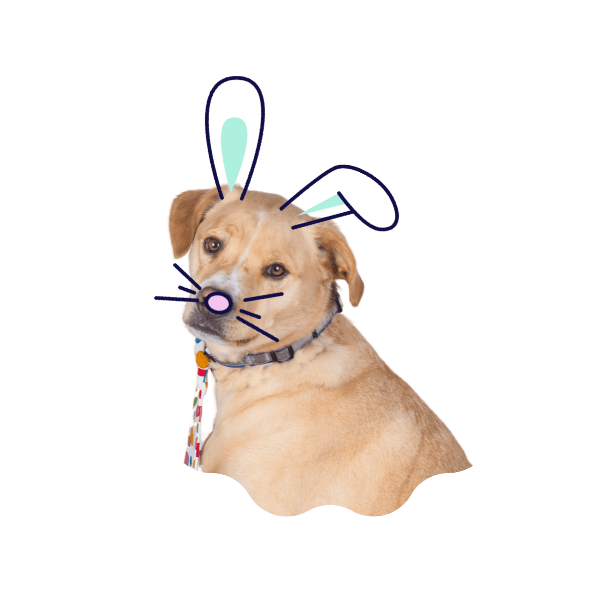 Biscuit's Virtual Easter Egg Hunt by Creek dog Tails