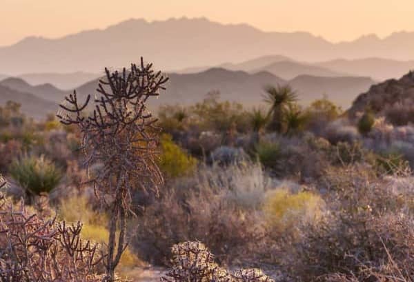 Scene of a dry desert with minimal green plant life.
