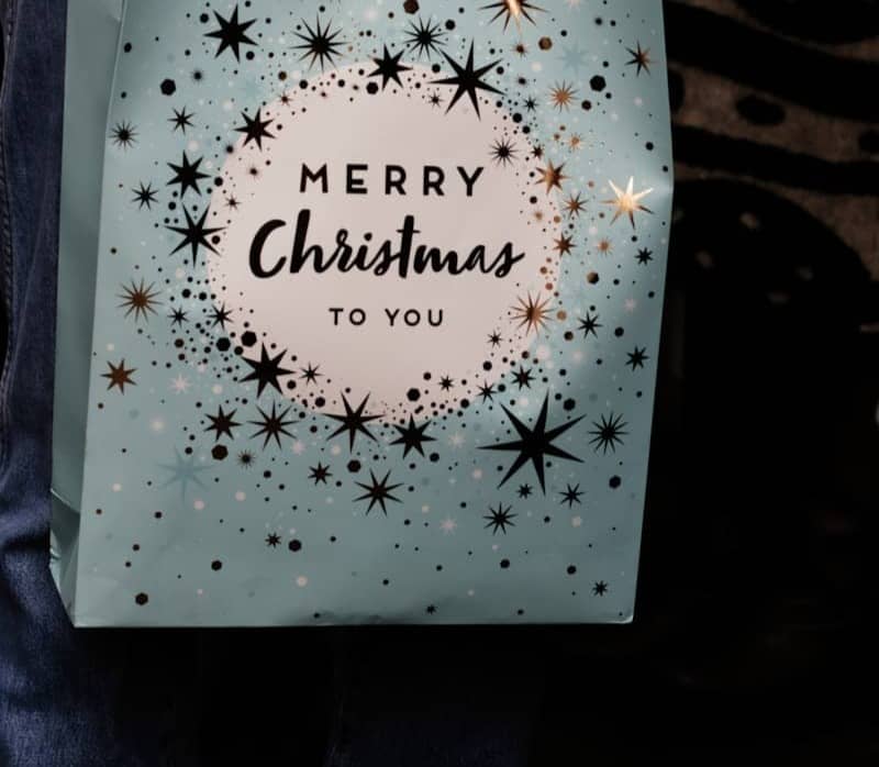 Person holding a merry christmas gift bag