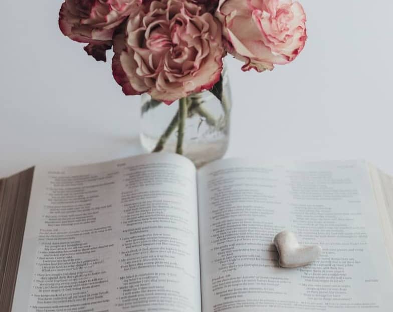 Open book with roses and heart decoration