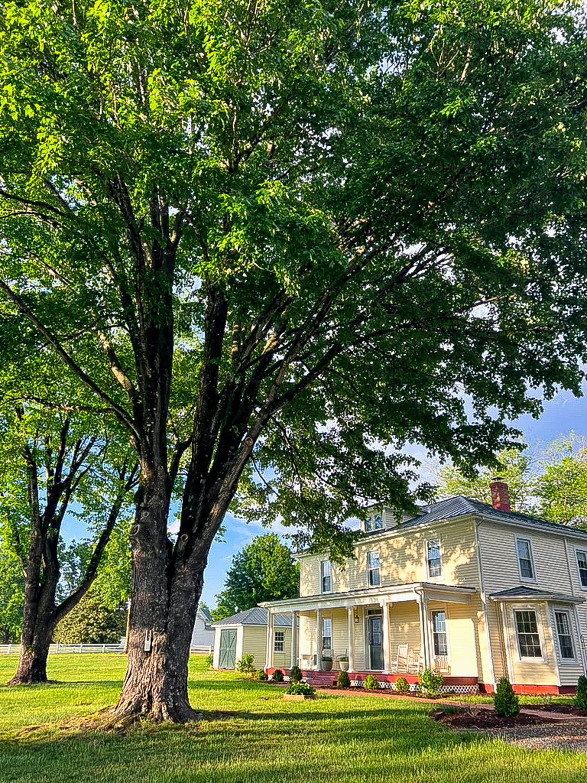 Virginia farmhouse