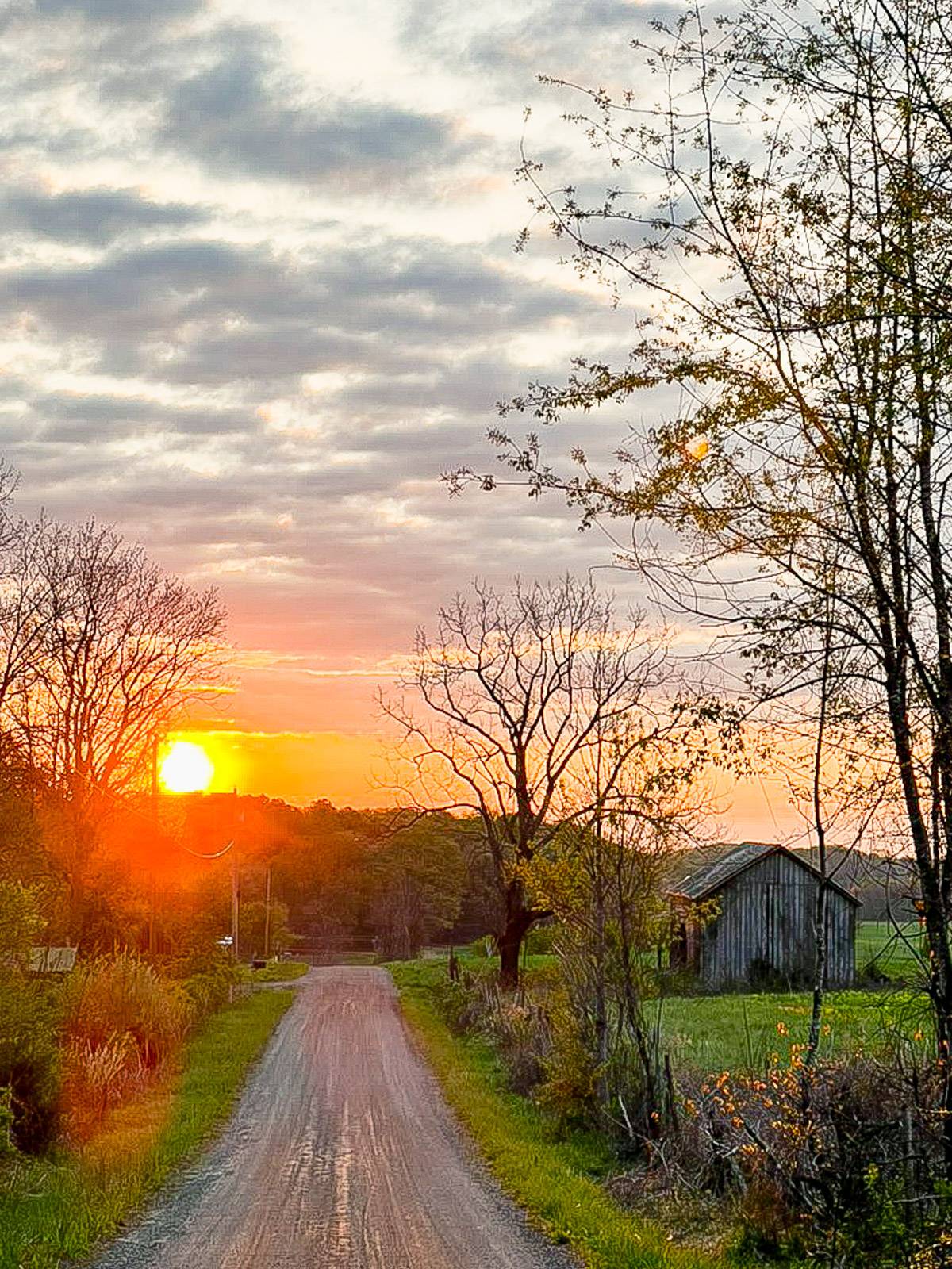 Sunrise and a gravel road.