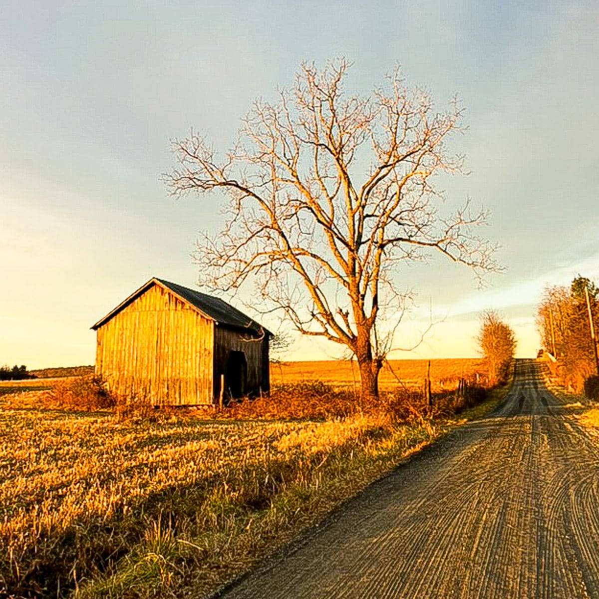 Gravel road at sunrise