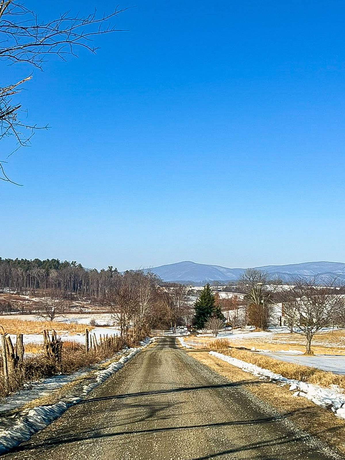 A gravel road with mountains in the background.