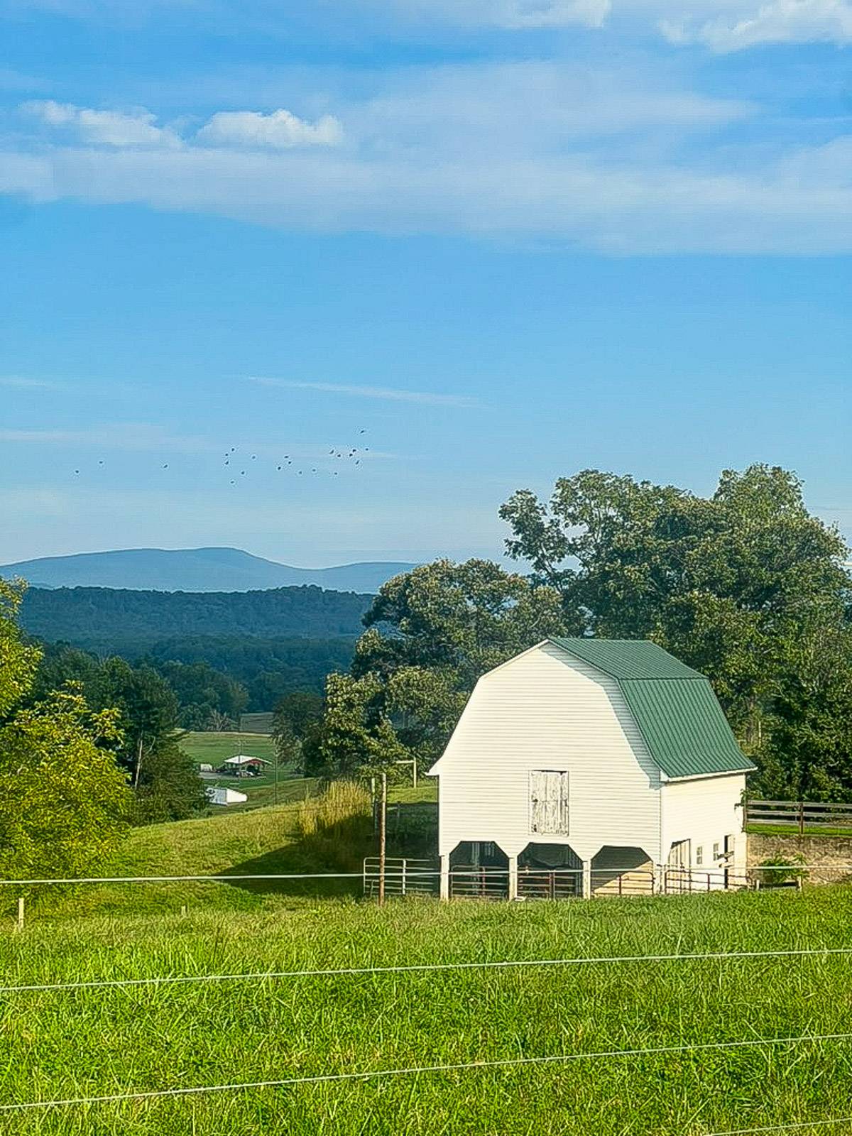 Barn in the Blue Ridge Mountains.