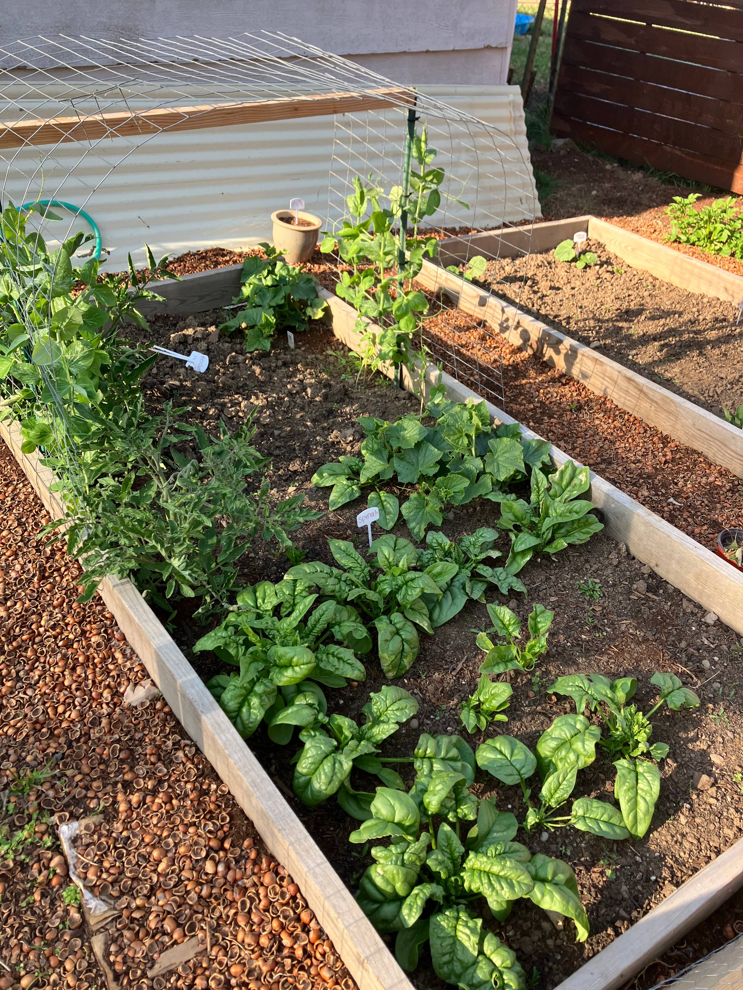 Gardening doesn't have to be expensive. 