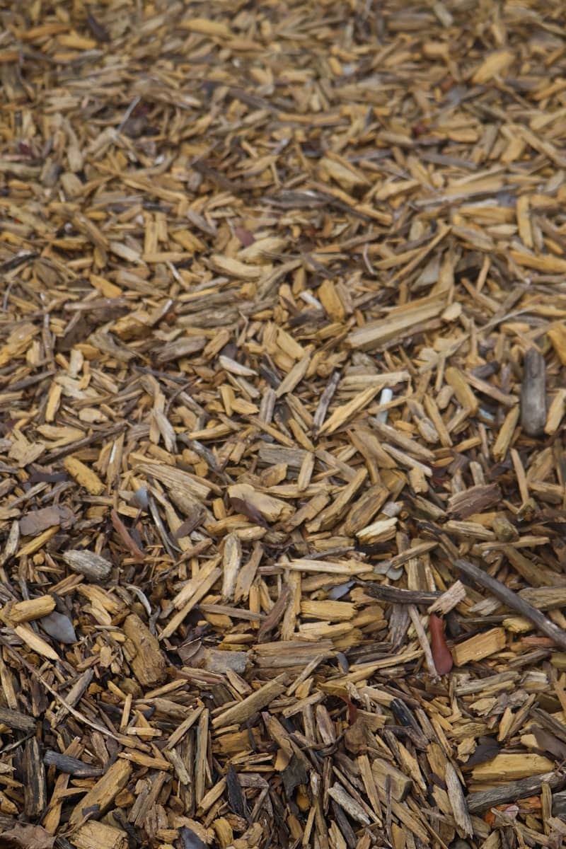 A close-up view of wood chips on the ground