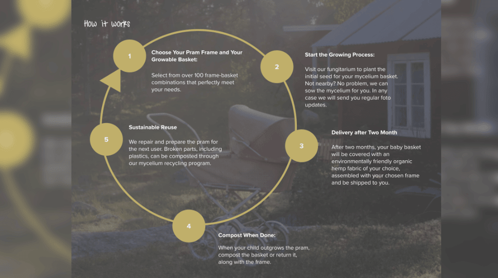 LCDF Course Example—Grow your nest by Manuela Risch