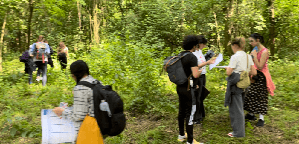 Politecnico students in the forest using design tools from the Life-centred Design Lab