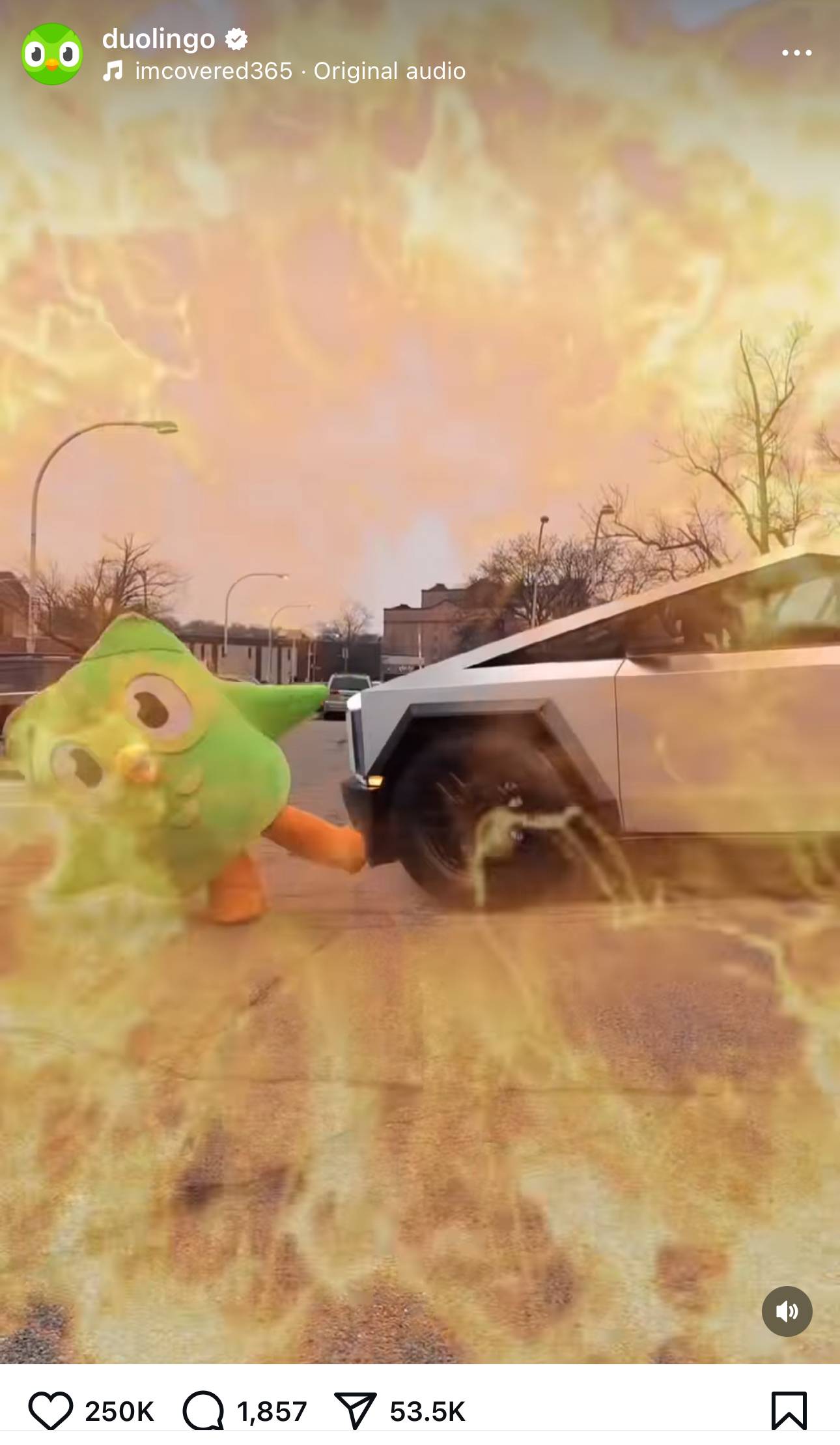 A Cybertruck runs over the Duolingo mascot, Duo. Entirely in vain if you ask me. 