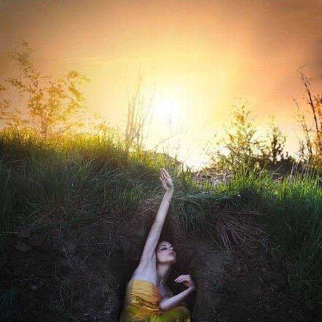 O renascer da luz traz um novo brilho aos nossos dias